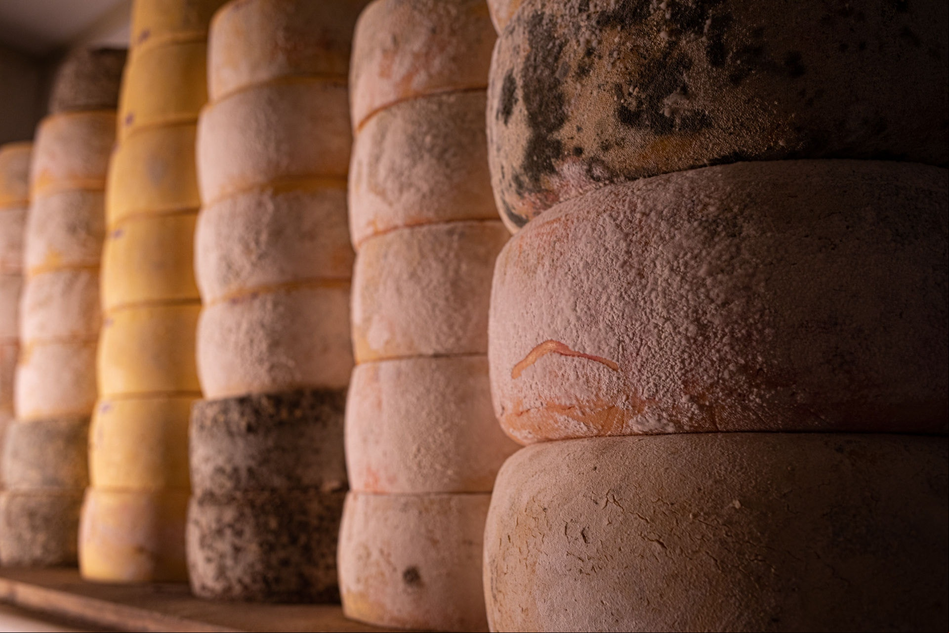 Made in Minas Gerais reúne produtores de queijo da Canastra, Mantiqueira de Minas, Diamantina, Araxá e Entre Serras da Piedade ao Caraça